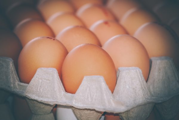 oprema za prozvodnju konzumnih jaja